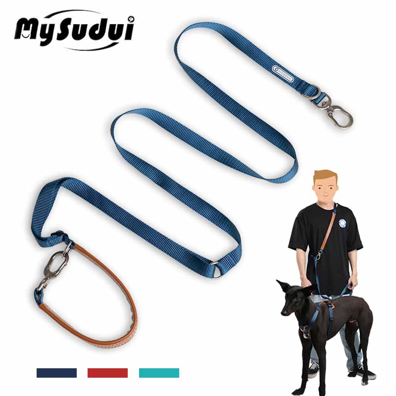 Mysudui 5 In 1 다기능 조절 식 개 리드 손 - Leather Strap Quick Release 리뷰 및 가격